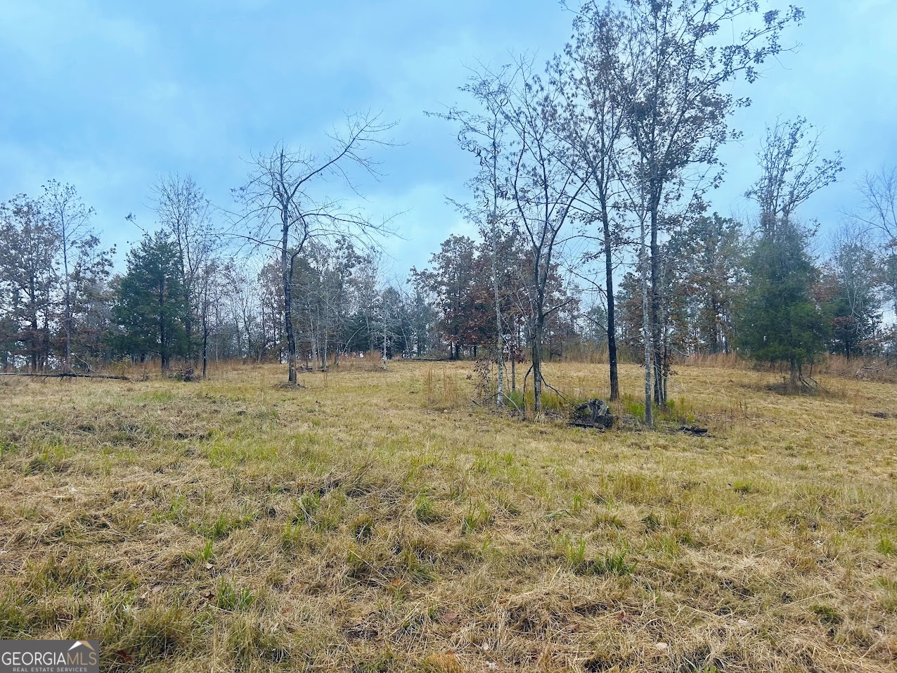 592 Andrew Caldwell Road, Unit TRACT 2A Lexington, GA 30648 - Photo 24 of 79 a view of a yard with a tree