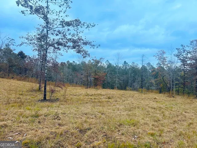 a view of a field with trees in the background