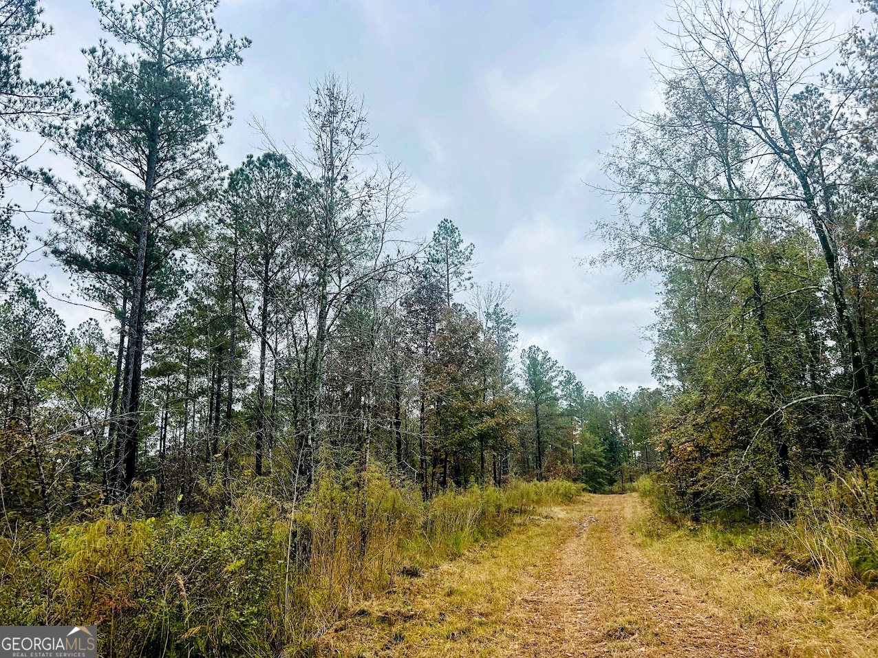 592 Andrew Caldwell Road, Unit TRACT 2A Lexington, GA 30648 - Photo 26 of 79