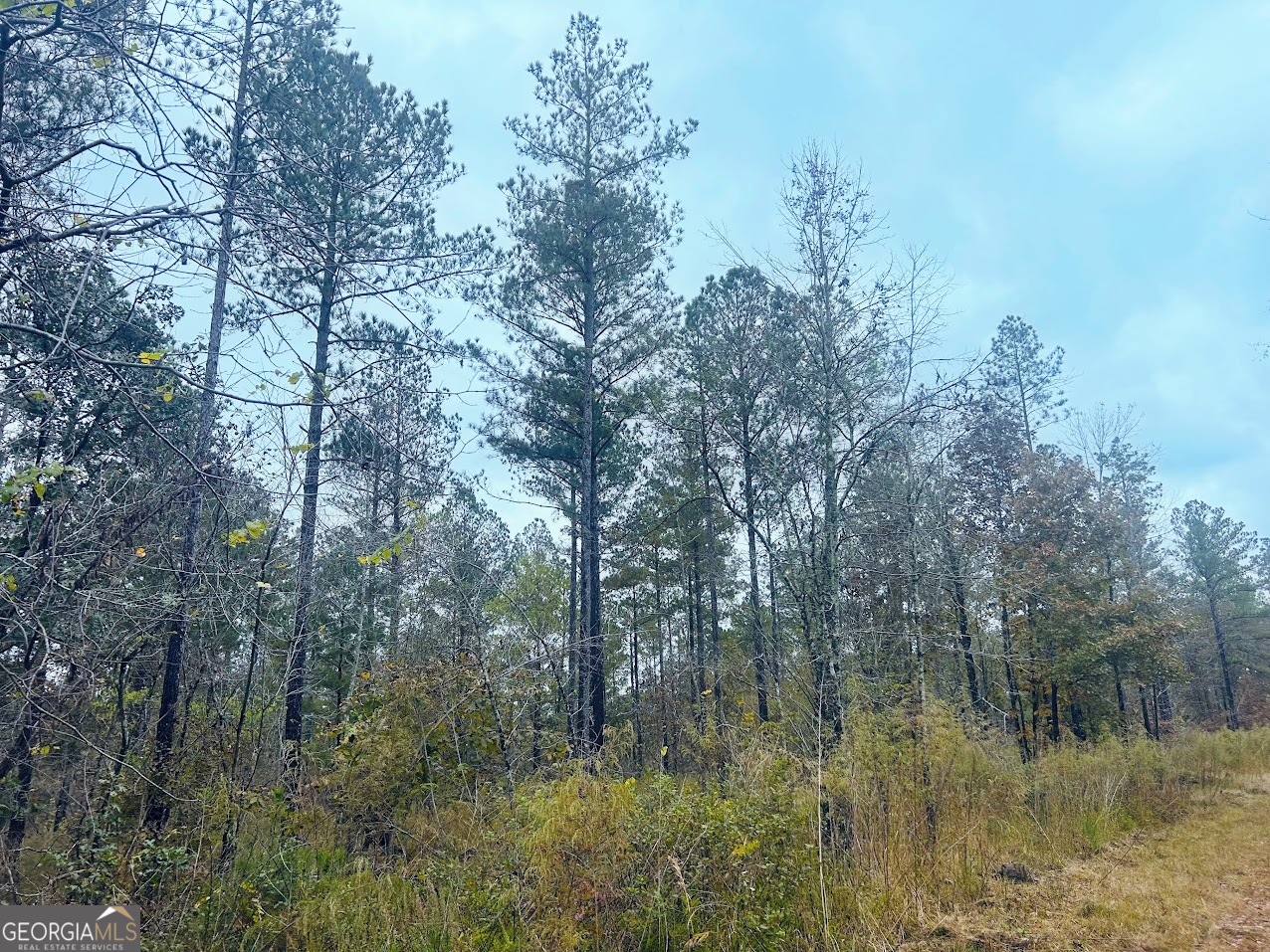 592 Andrew Caldwell Road, Unit TRACT 2A Lexington, GA 30648 - Photo 27 of 79