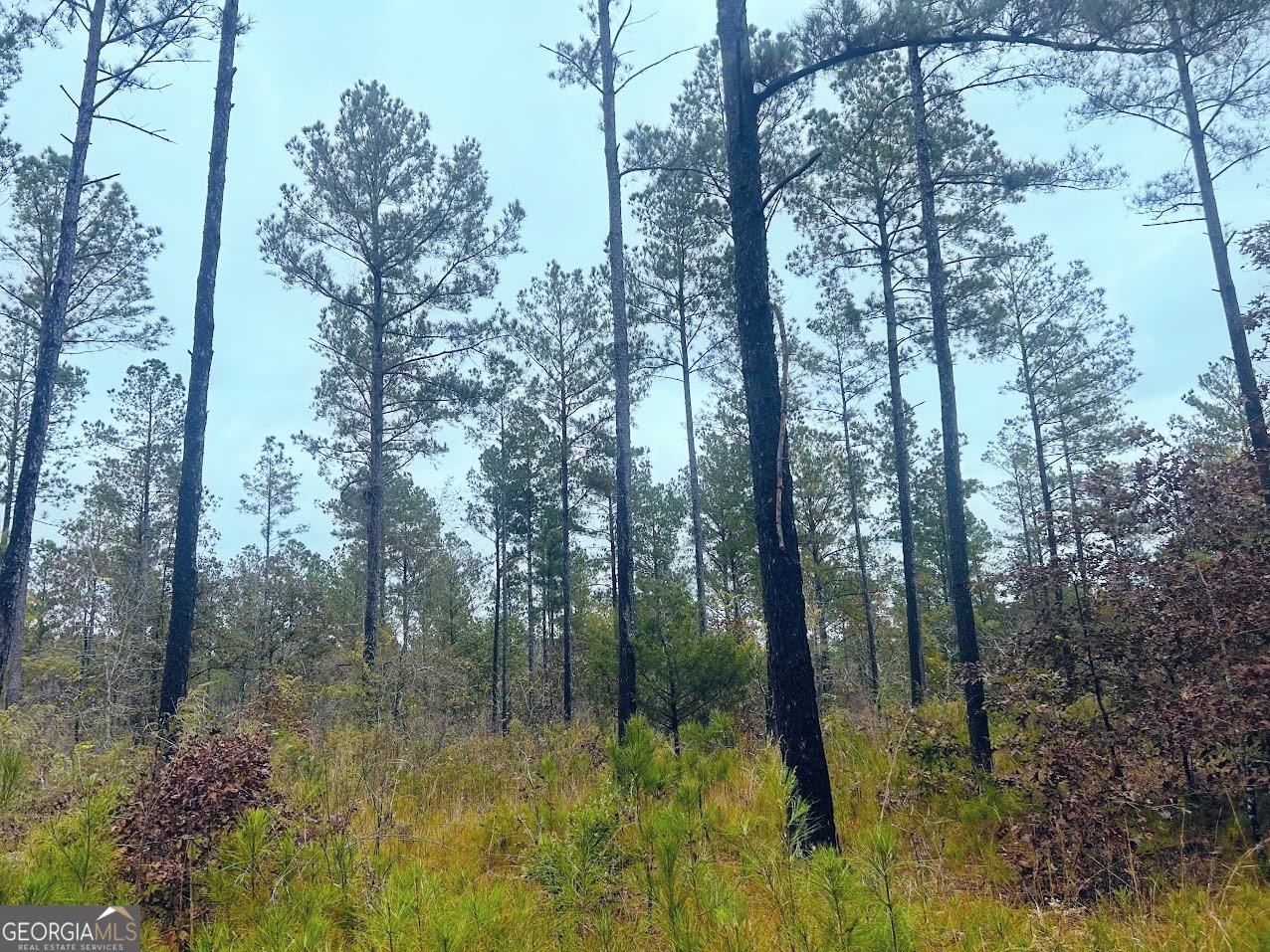 592 Andrew Caldwell Road, Unit TRACT 2A Lexington, GA 30648 - Photo 28 of 79 a view of lake with green space