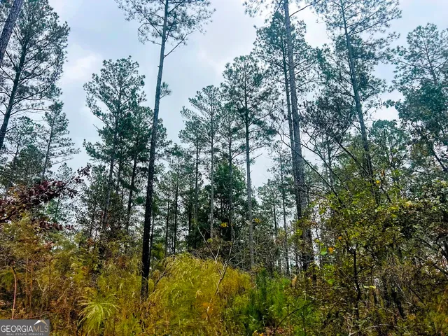 a view of a yard with large trees