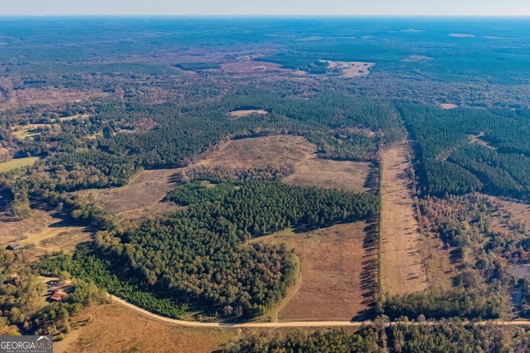 592 Andrew Caldwell Road, Unit TRACT 2A Lexington, GA 30648 - Photo 3 of 79 a view of a yard
