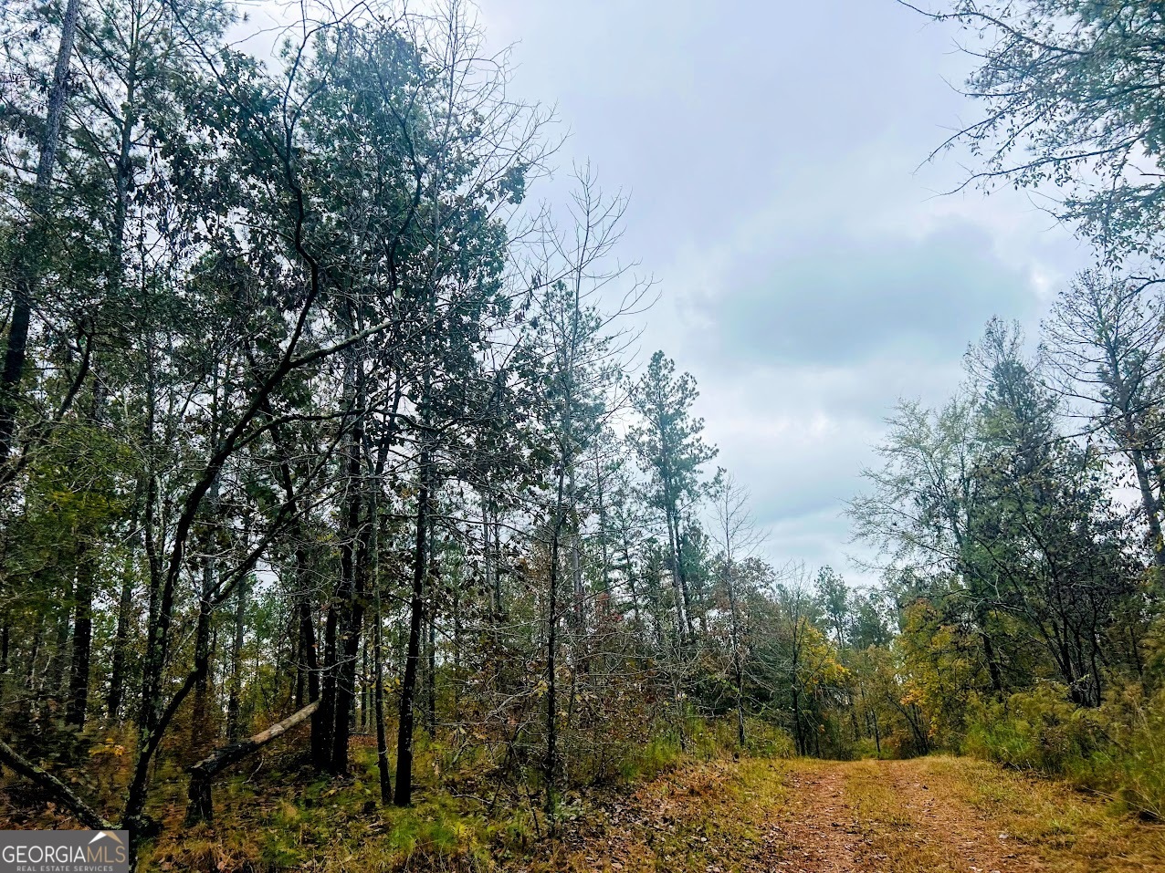 592 Andrew Caldwell Road, Unit TRACT 2A Lexington, GA 30648 - Photo 31 of 79