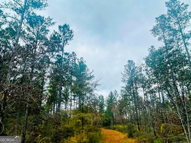 a backyard of a house with lots of trees