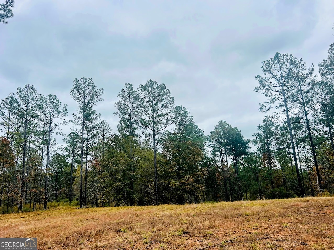 592 Andrew Caldwell Road, Unit TRACT 2A Lexington, GA 30648 - Photo 34 of 79