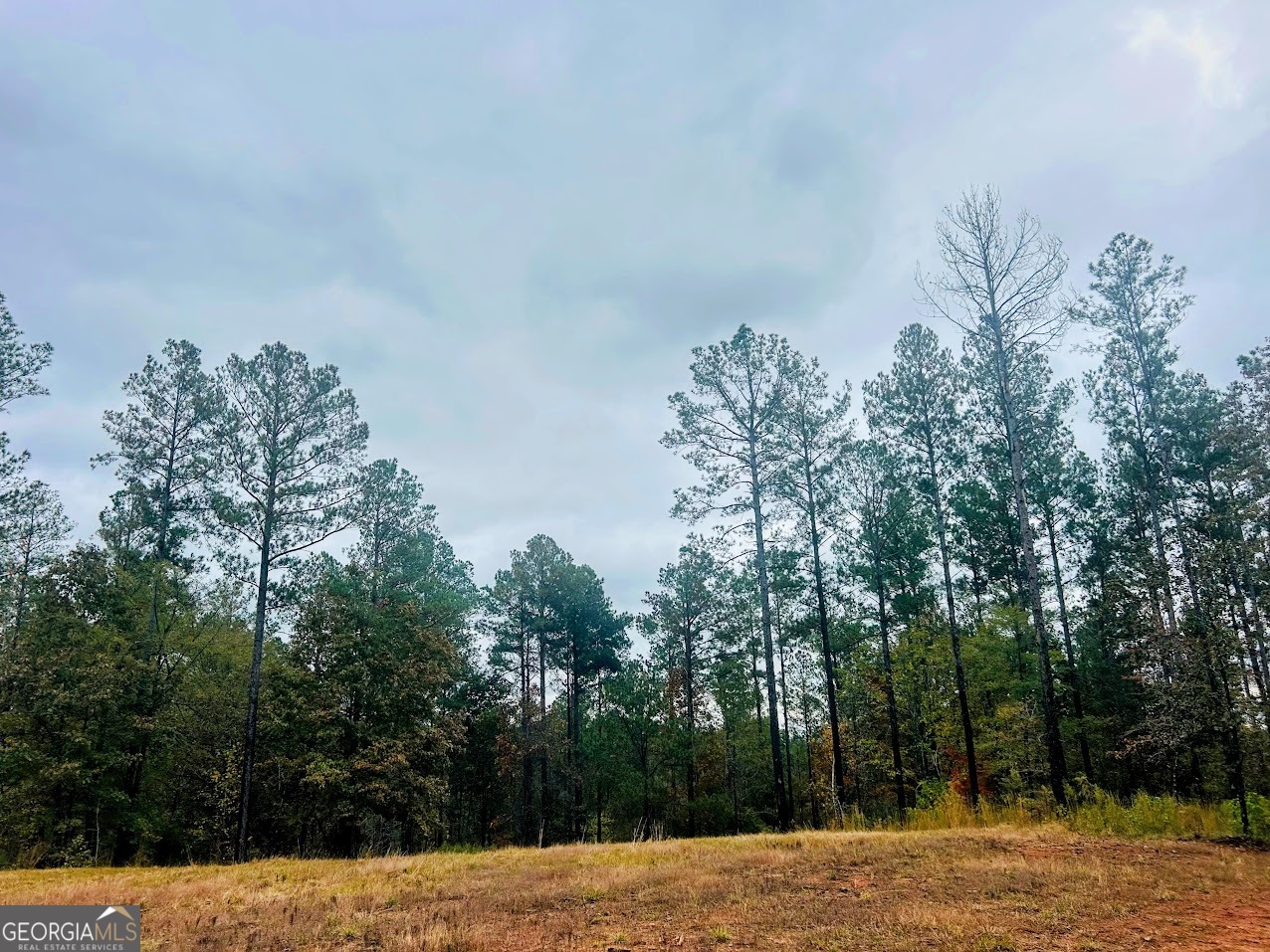 592 Andrew Caldwell Road, Unit TRACT 2A Lexington, GA 30648 - Photo 35 of 79 a view of a field with trees in the background