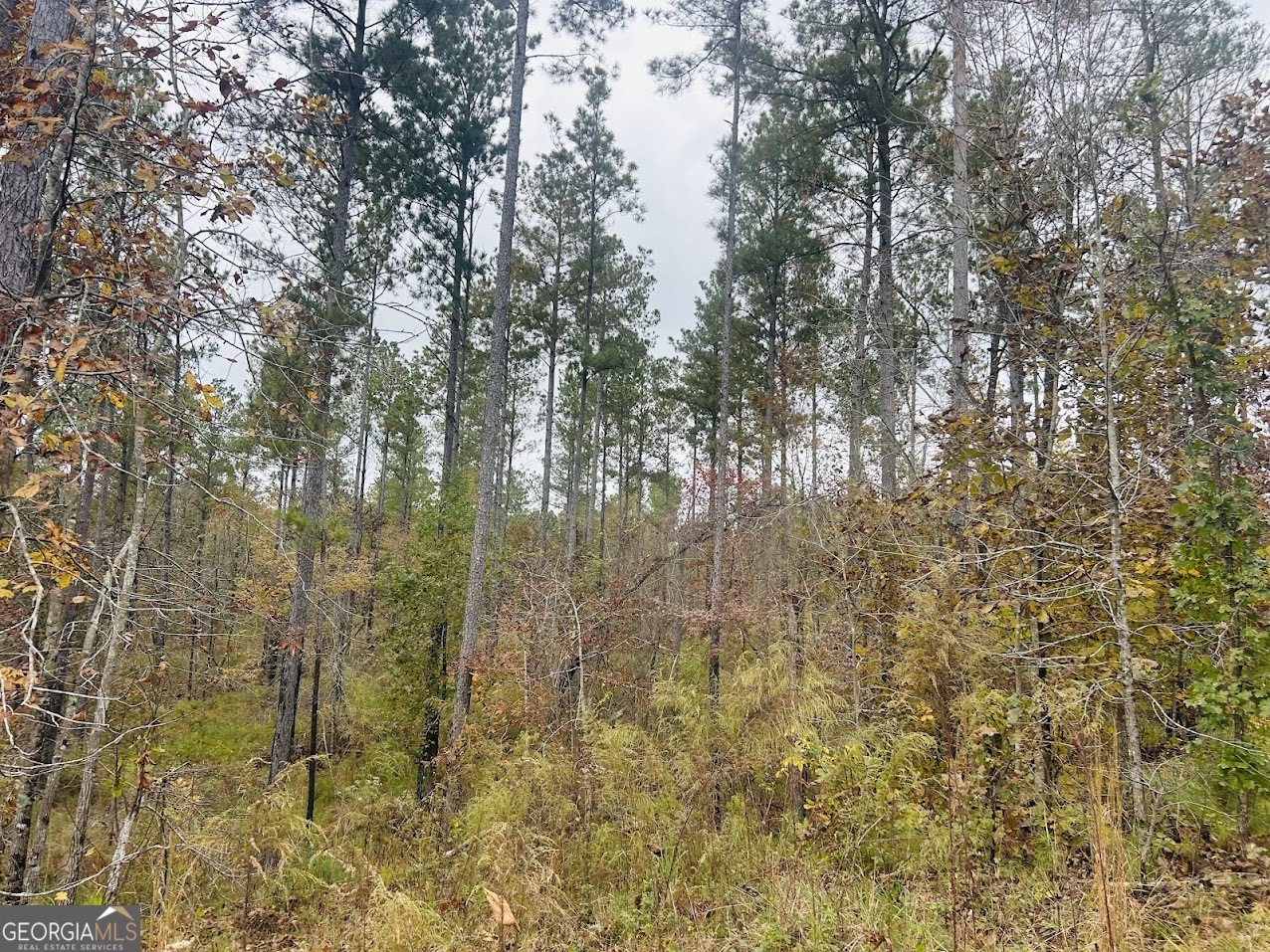 592 Andrew Caldwell Road, Unit TRACT 2A Lexington, GA 30648 - Photo 37 of 79