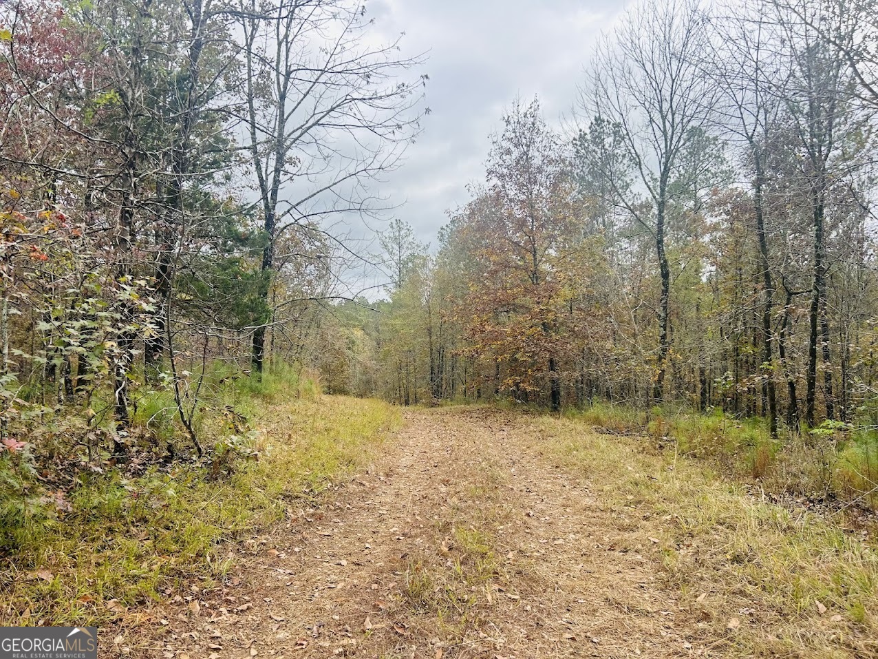 592 Andrew Caldwell Road, Unit TRACT 2A Lexington, GA 30648 - Photo 38 of 79