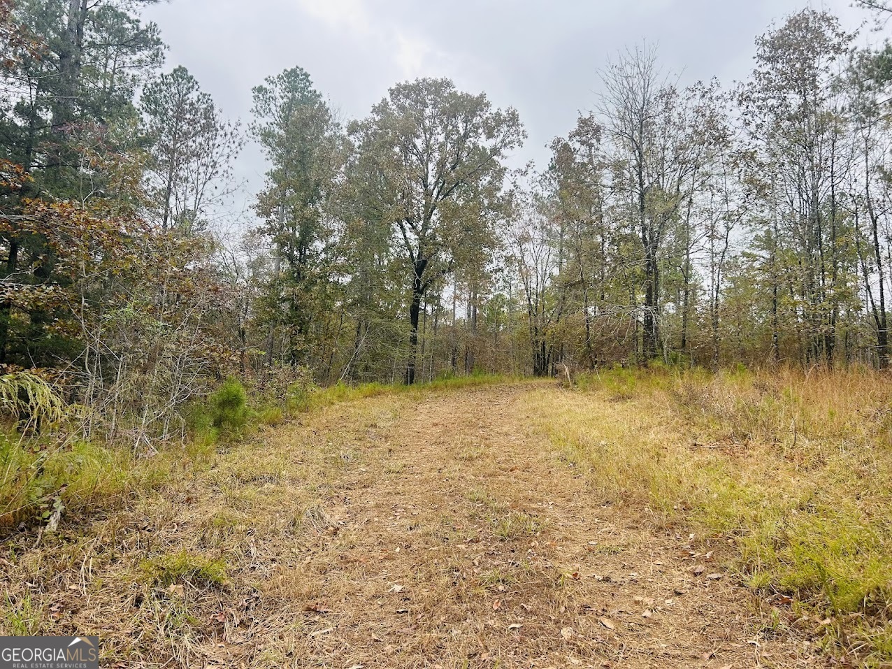 592 Andrew Caldwell Road, Unit TRACT 2A Lexington, GA 30648 - Photo 39 of 79