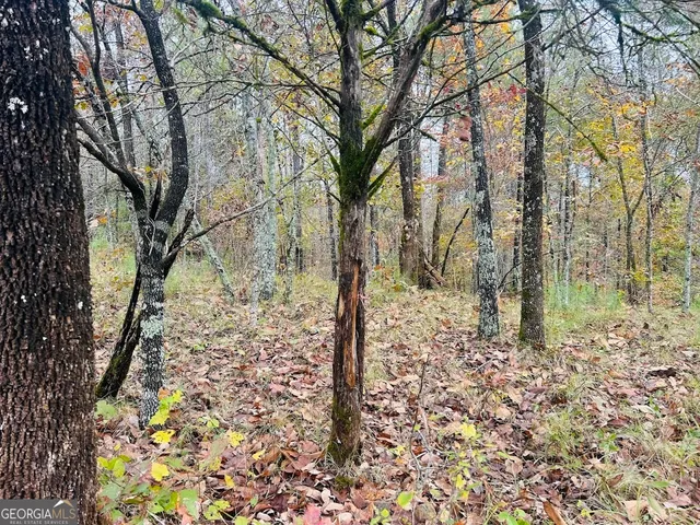 a view of lake with beach
