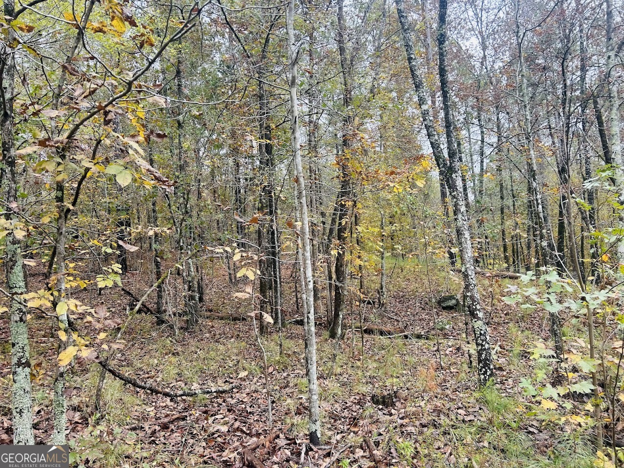 592 Andrew Caldwell Road, Unit TRACT 2A Lexington, GA 30648 - Photo 42 of 79