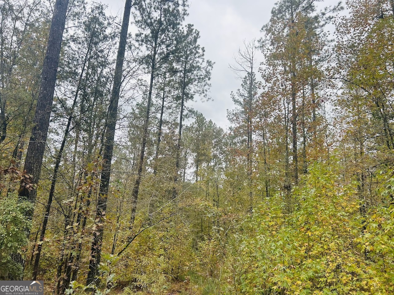 592 Andrew Caldwell Road, Unit TRACT 2A Lexington, GA 30648 - Photo 43 of 79
