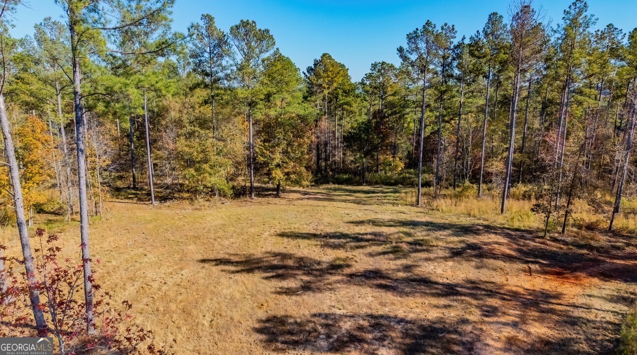 592 Andrew Caldwell Road, Unit TRACT 2A Lexington, GA 30648 - Photo 45 of 79