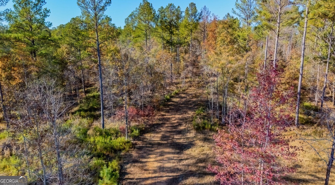 592 Andrew Caldwell Road, Unit TRACT 2A Lexington, GA 30648 - Photo 50 of 79 a backyard of a house with lots of trees
