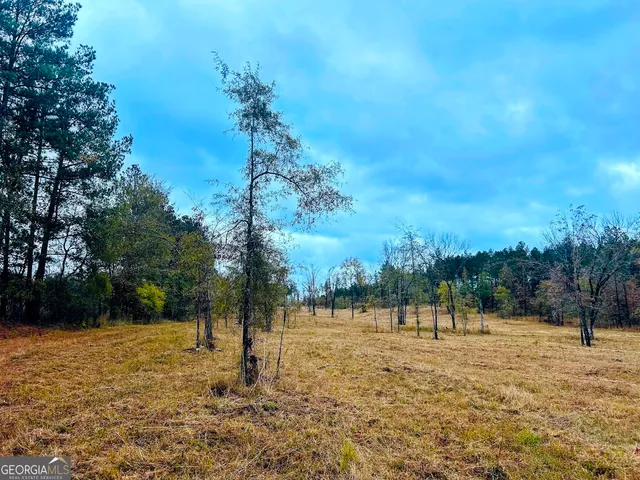 a view of a lake with a yard