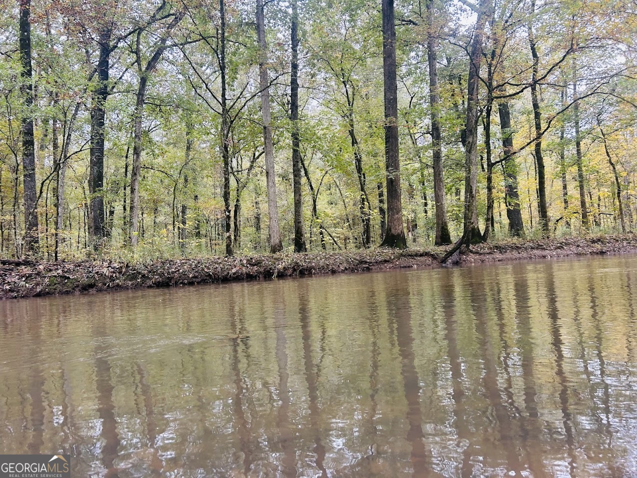 592 Andrew Caldwell Road, Unit TRACT 2A Lexington, GA 30648 - Photo 55 of 79 a view of lake with a trees