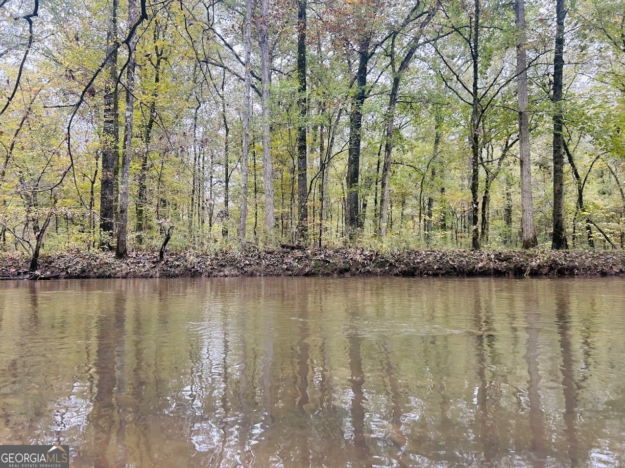 592 Andrew Caldwell Road, Unit TRACT 2A Lexington, GA 30648 - Photo 56 of 79 a view of a lake with houses