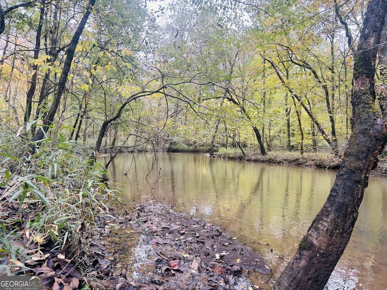 592 Andrew Caldwell Road, Unit TRACT 2A Lexington, GA 30648 - Photo 57 of 79 a view of a lake with a large trees
