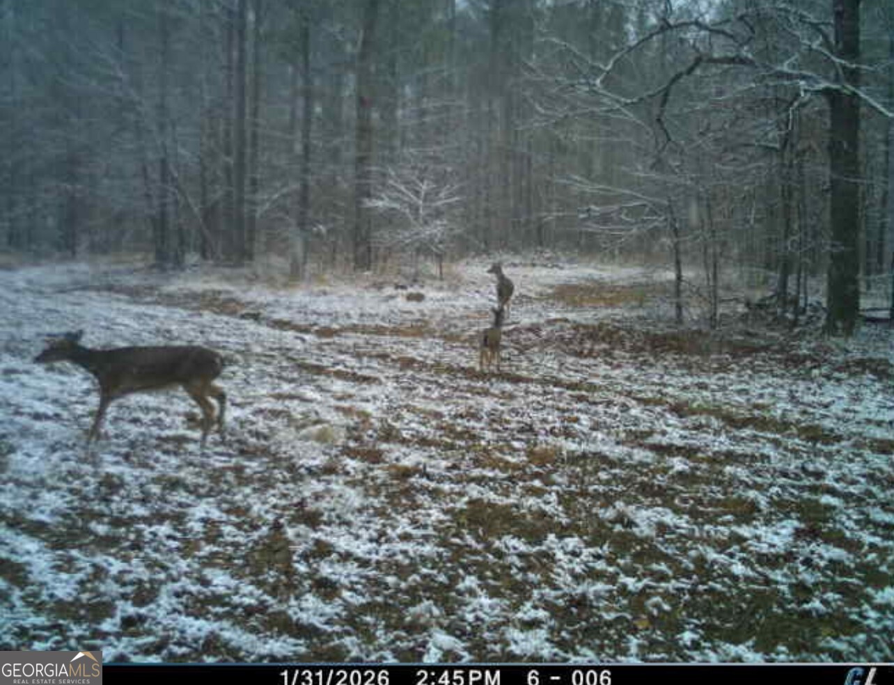 592 Andrew Caldwell Road, Unit TRACT 2A Lexington, GA 30648 - Photo 59 of 79 a view of a backyard of the house