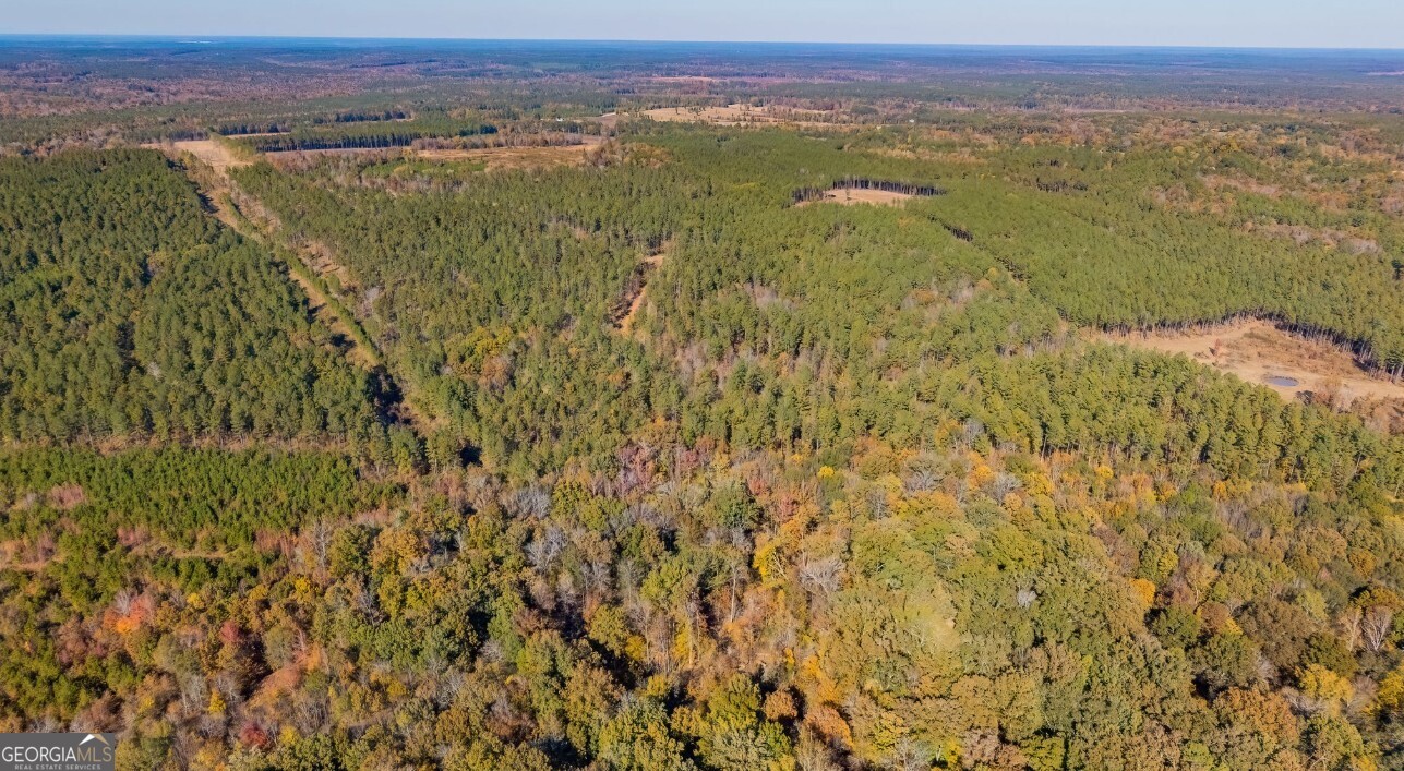 592 Andrew Caldwell Road, Unit TRACT 2A Lexington, GA 30648 - Photo 60 of 79 a view of a lush green field with mountains in the background