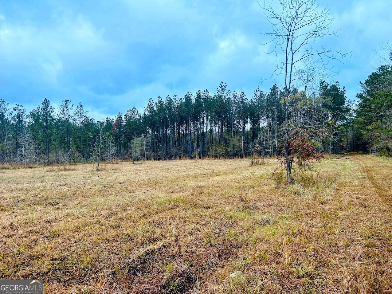 592 Andrew Caldwell Road, Unit TRACT 2A Lexington, GA 30648 - Photo 6 of 79 a view of swimming pool with a yard
