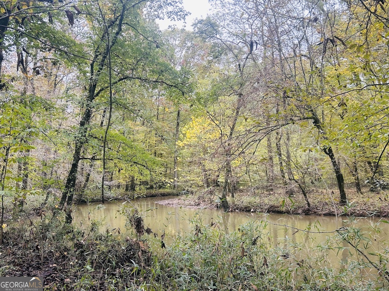 592 Andrew Caldwell Road, Unit TRACT 2A Lexington, GA 30648 - Photo 62 of 79