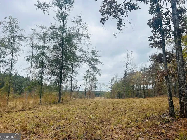 $661,052 | 592 Andrew Caldwell Road, Unit TRACT 2A, Lexington, GA 30648