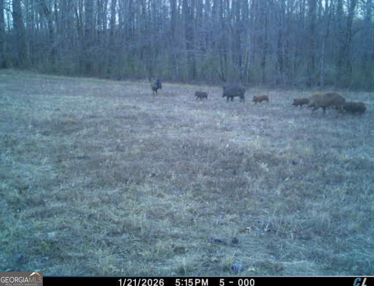 592 Andrew Caldwell Road, Unit TRACT 2A Lexington, GA 30648 - Photo 67 of 79