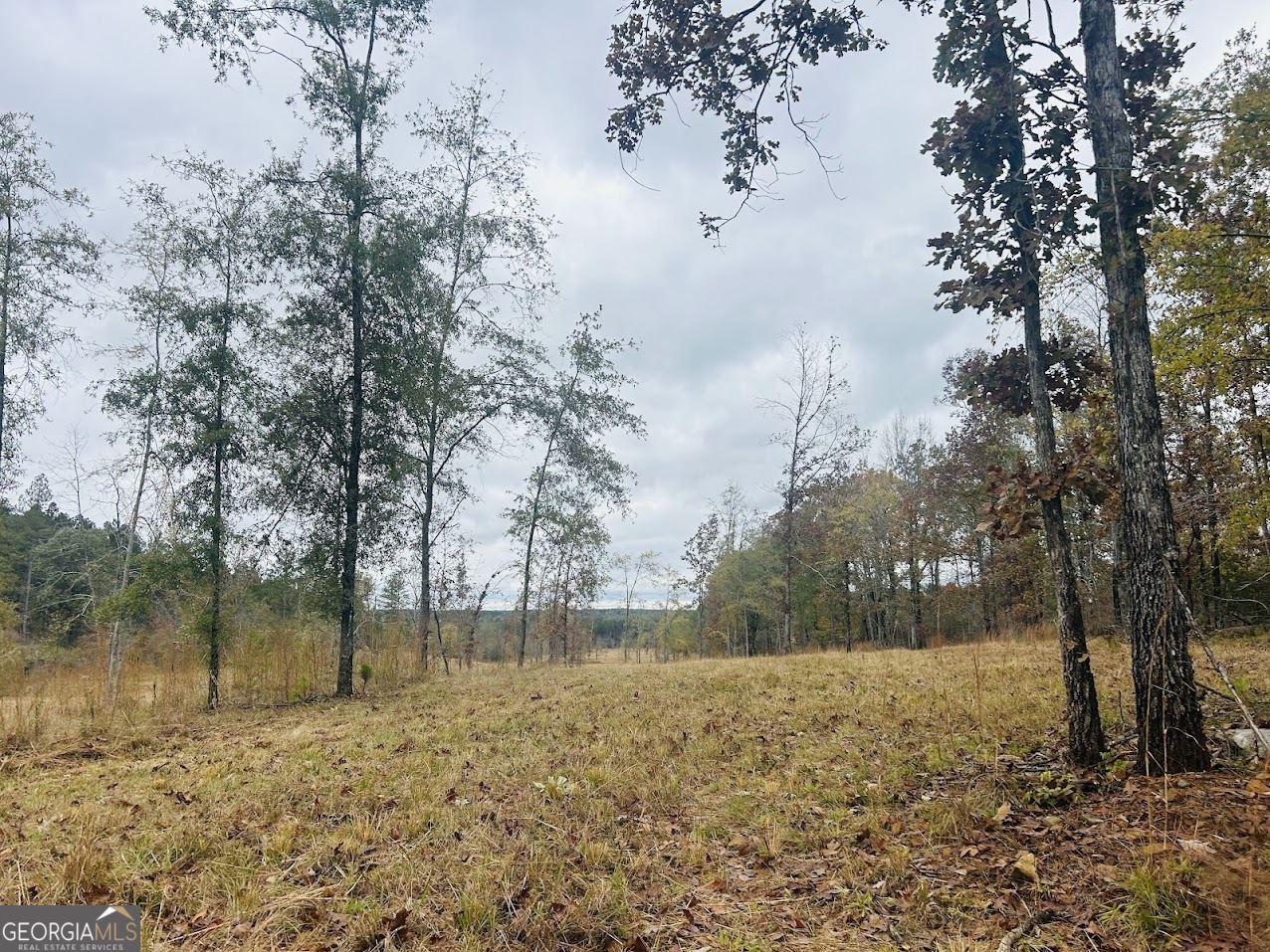 592 Andrew Caldwell Road, Unit TRACT 2A Lexington, GA 30648 - Photo 68 of 79