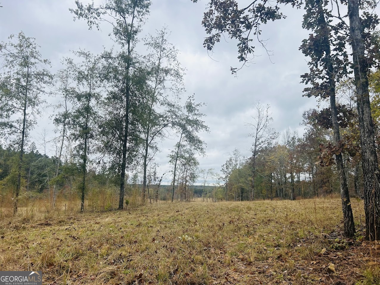 592 Andrew Caldwell Road, Unit TRACT 2A Lexington, GA 30648 - Photo 69 of 79