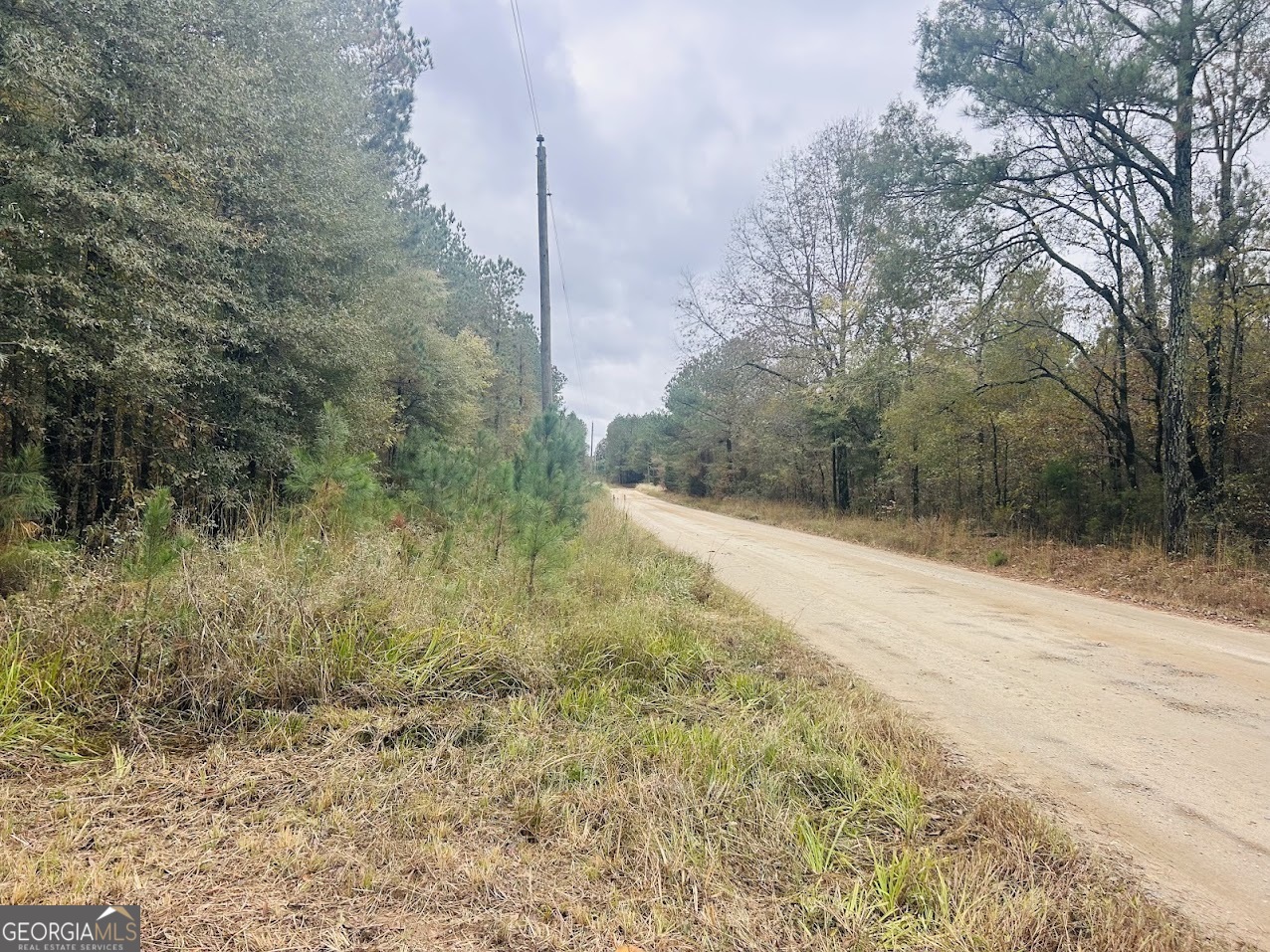 592 Andrew Caldwell Road, Unit TRACT 2A Lexington, GA 30648 - Photo 70 of 79 a view of a yard with trees