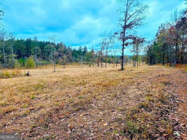 a view of a yard with a house