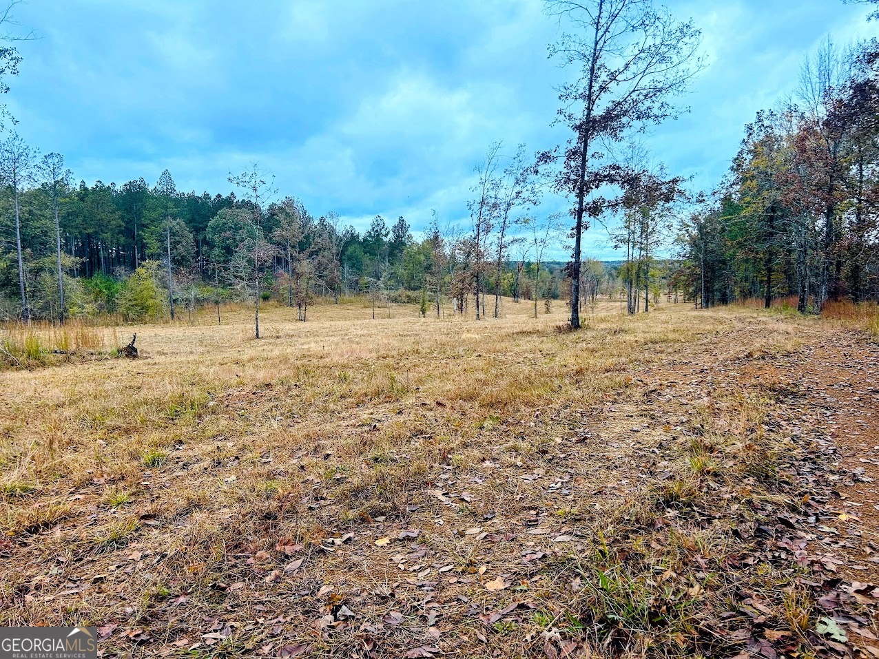 592 Andrew Caldwell Road, Unit TRACT 2A Lexington, GA 30648 - Photo 7 of 79