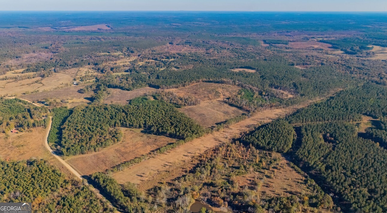 592 Andrew Caldwell Road, Unit TRACT 2A Lexington, GA 30648 - Photo 74 of 79