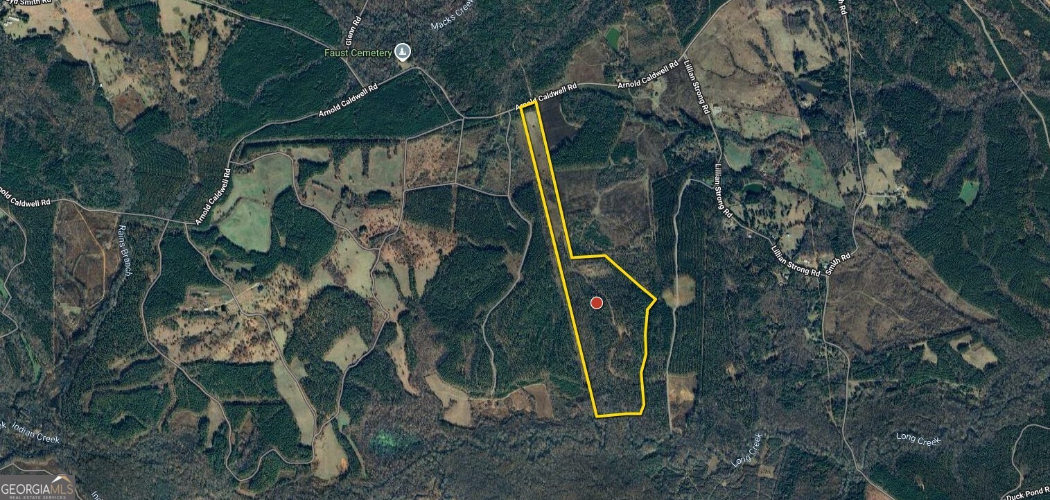 592 Andrew Caldwell Road, Unit TRACT 2A Lexington, GA 30648 - Photo 77 of 79
