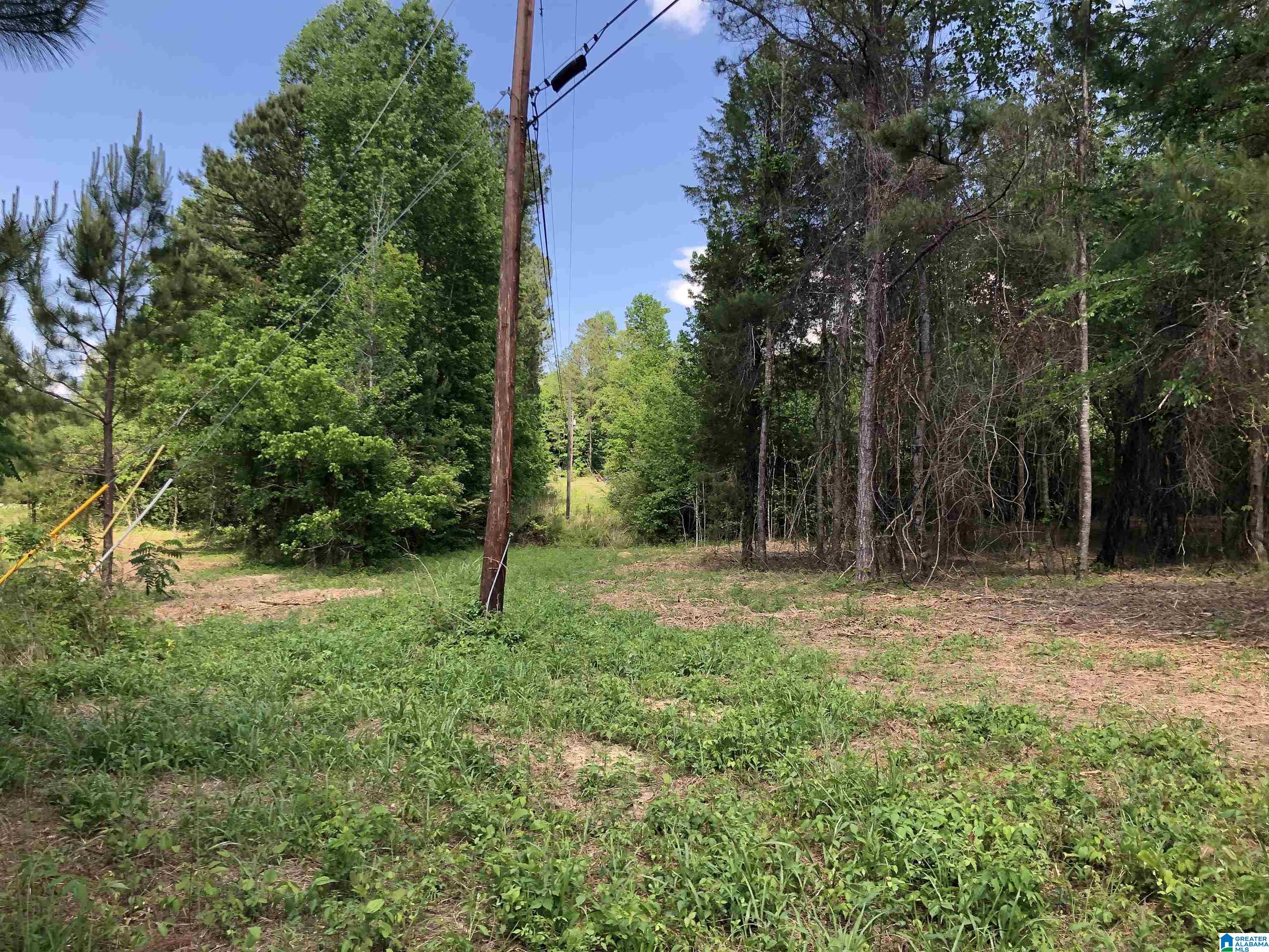 0 Peeks Hill Road, Unit 1 Ohatchee, AL 36271 - Photo 1 of 6