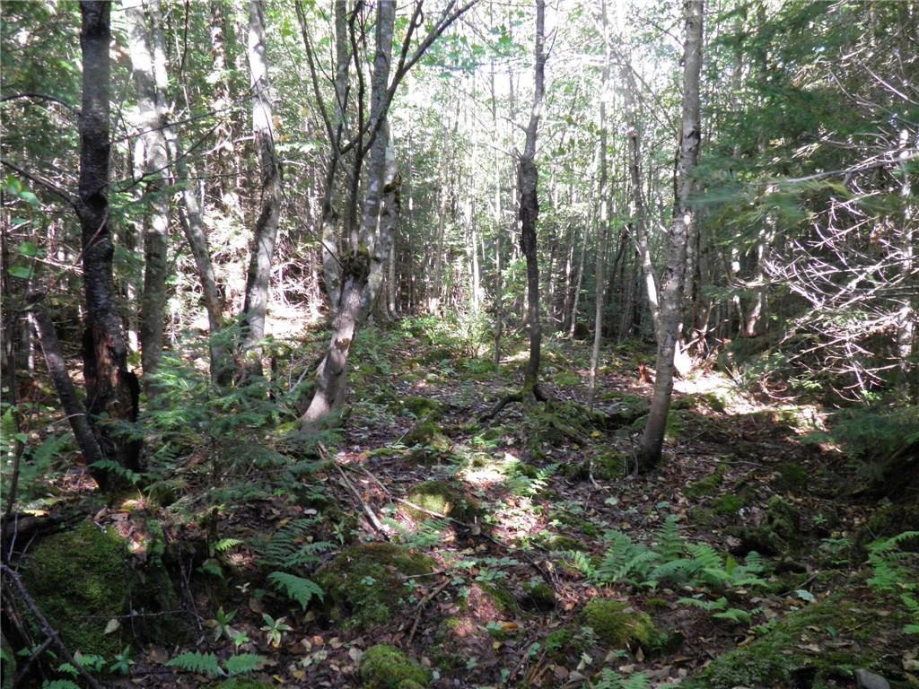 0 Edelheid Road Sandy River Plt, ME 04970 - Photo 7 of 22 Photo