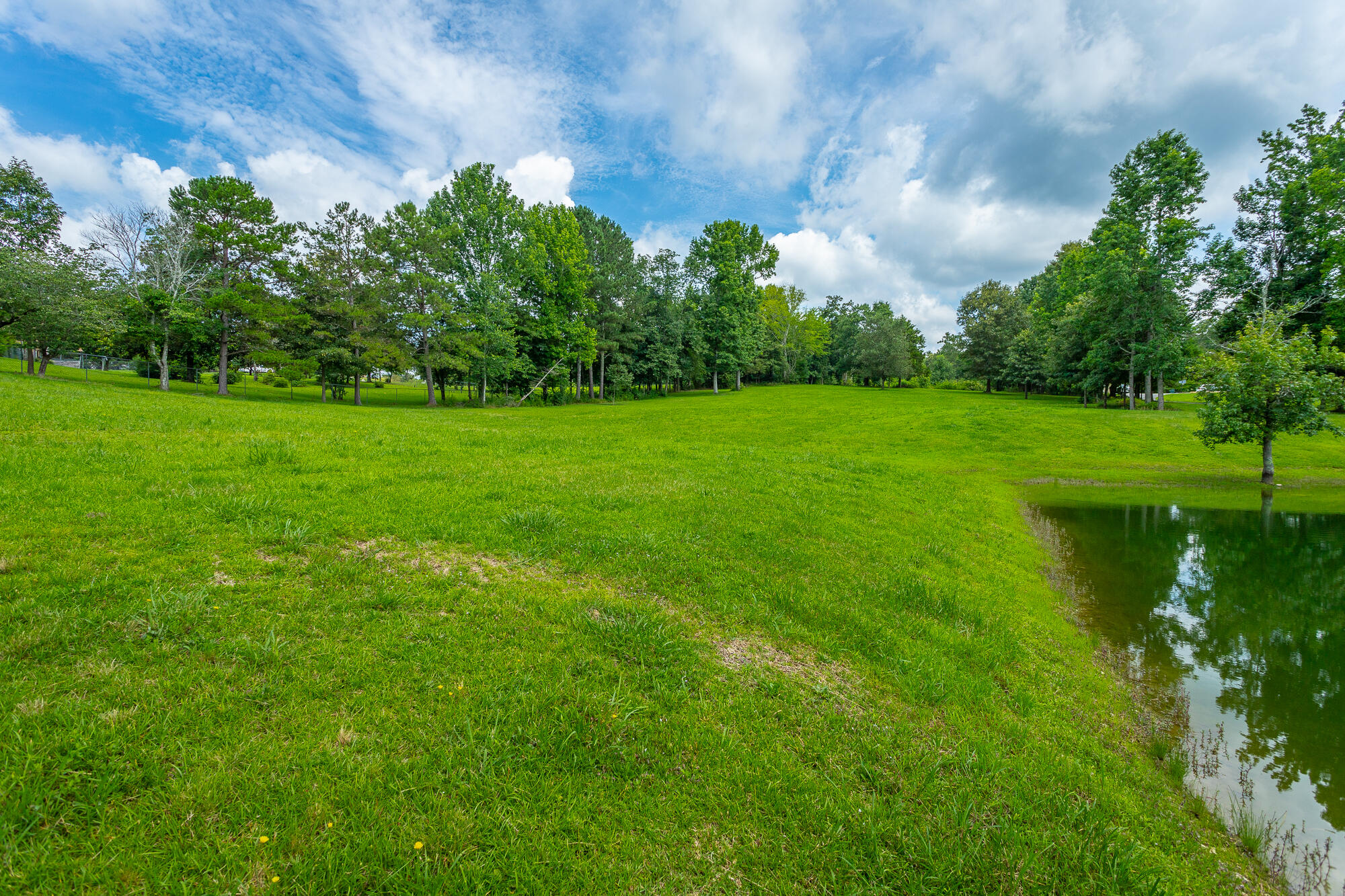132 Patty Road Ringgold, GA 30736 - Photo 14 of 55 132 Patty Rd. EX HD-12