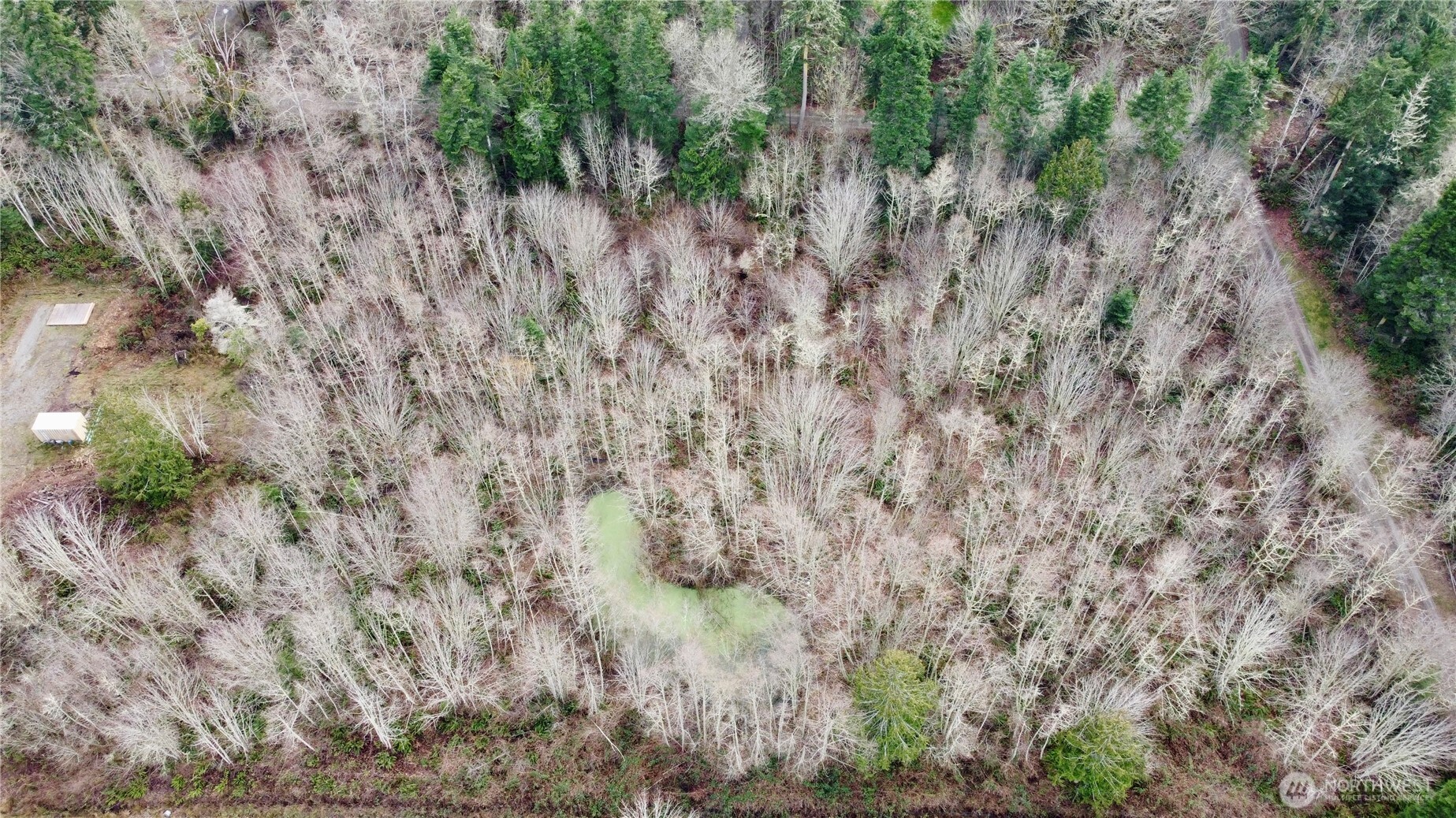 43 Shadowbrooke Lane Port Hadlock, WA 98339 - Photo 11 of 16 a view of a dry yard