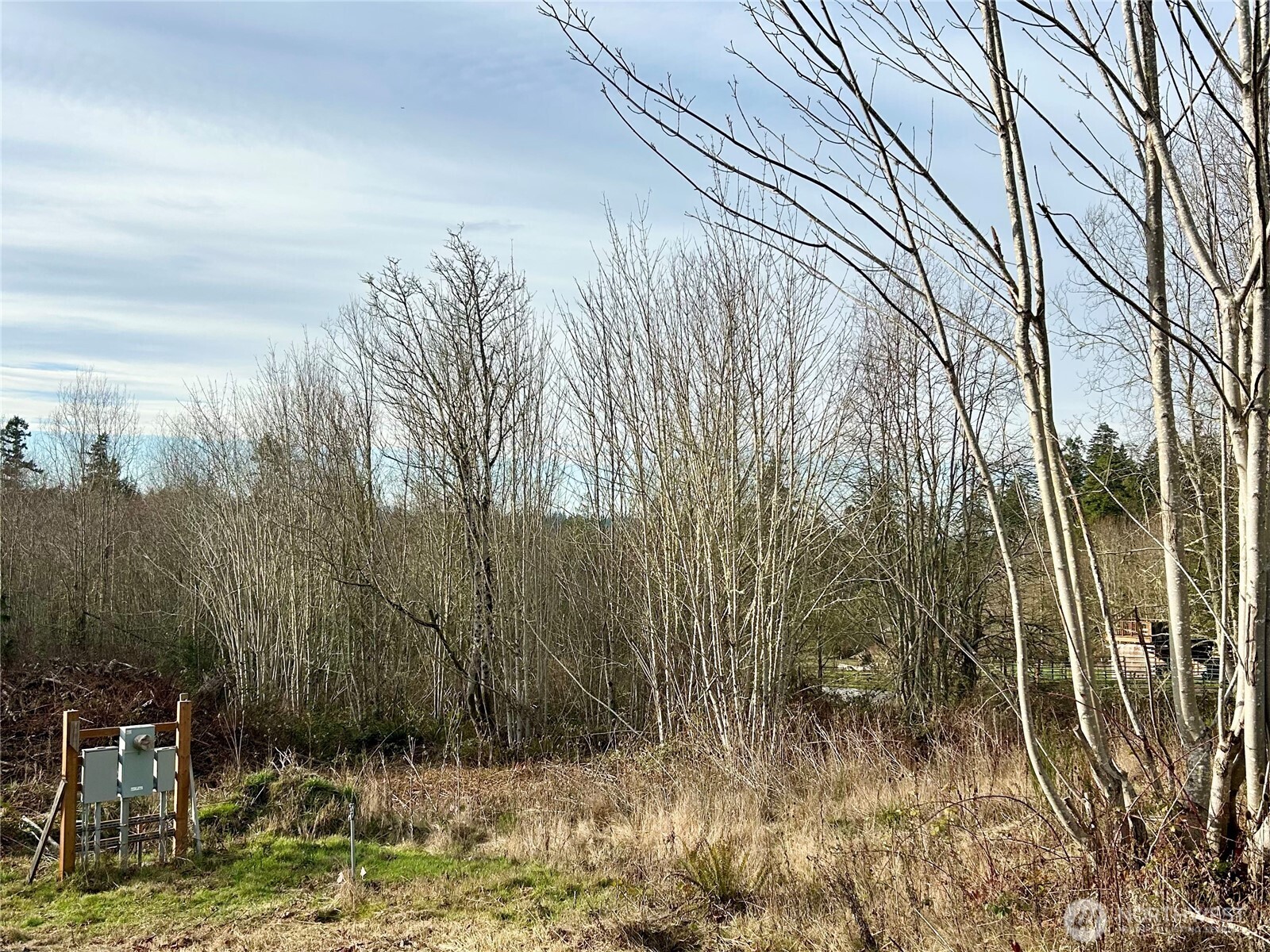 43 Shadowbrooke Lane Port Hadlock, WA 98339 - Photo 3 of 16