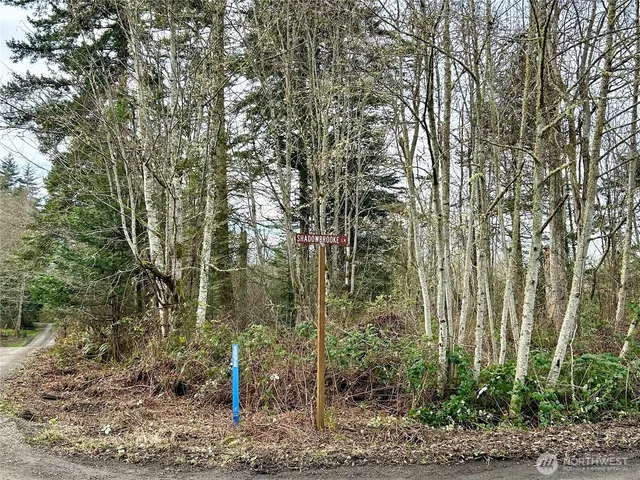 $299,000 | 43 Shadowbrooke Lane, Port Hadlock, WA 98339