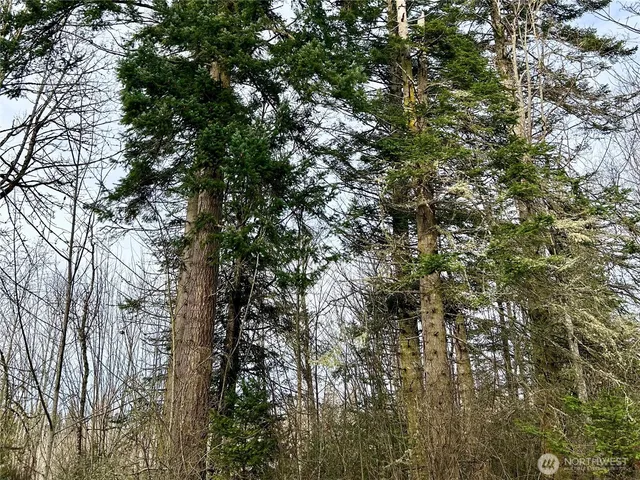 $299,000 | 43 Shadowbrooke Lane, Port Hadlock, WA 98339