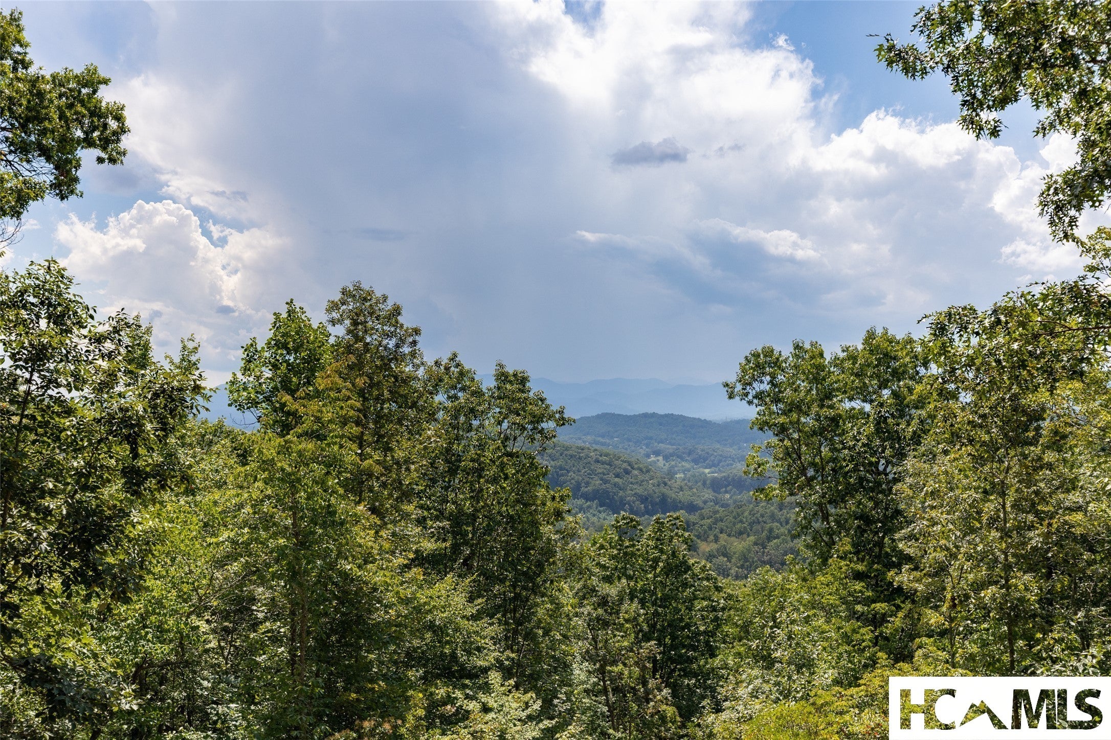 Tbd Onion Mountain Road Franklin, NC 28734 - Photo 4 of 24 Gallery Image 4