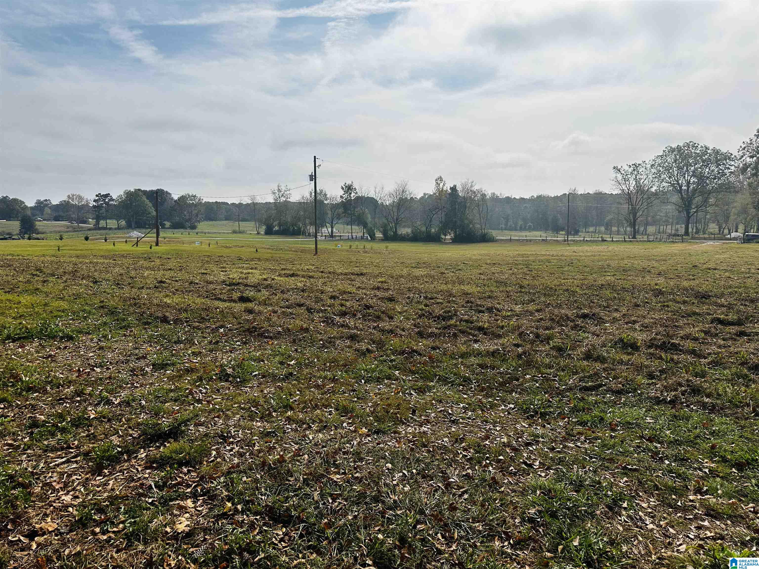 1721 McVey Road Lineville, AL 36266 - Photo 8 of 12