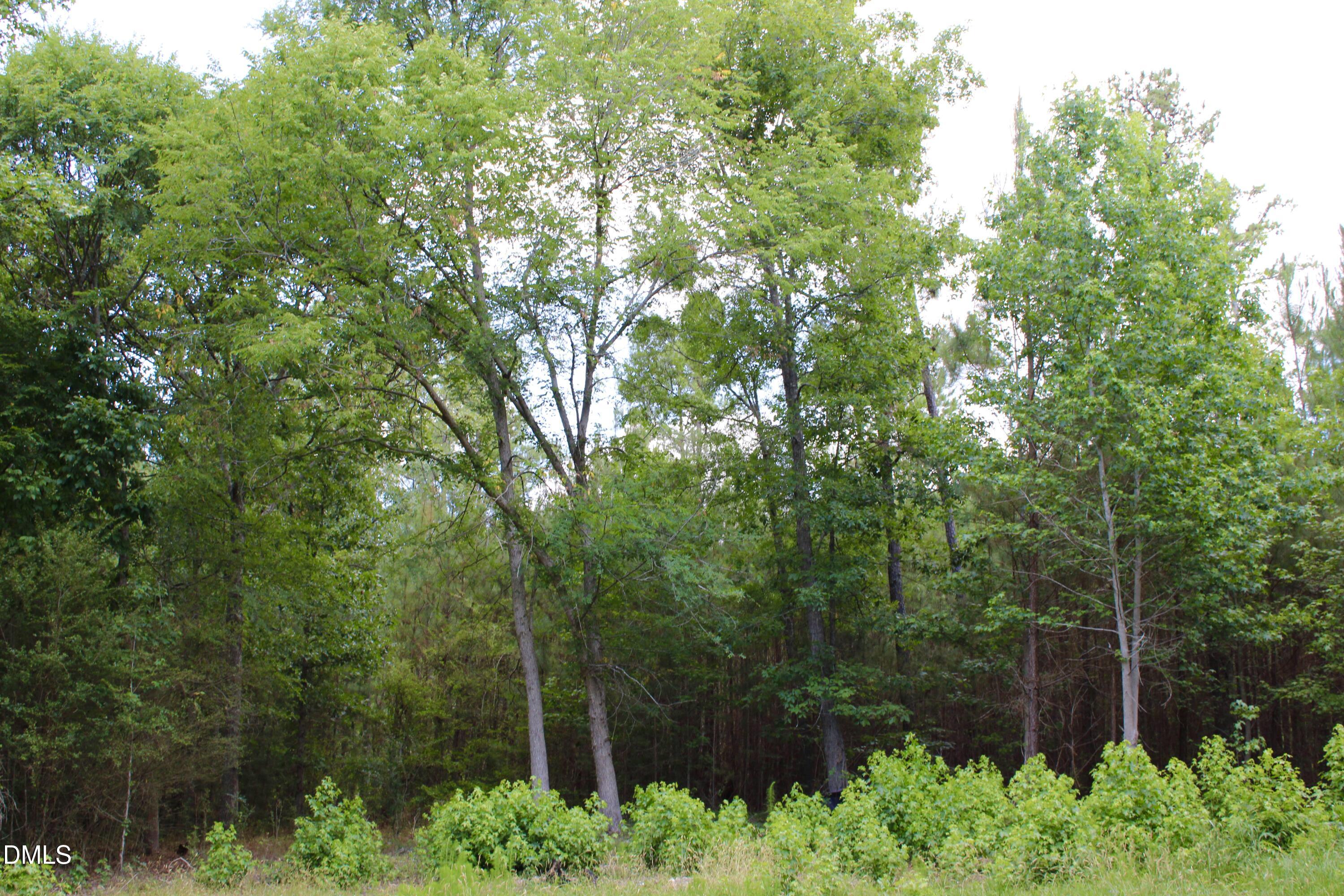 1920 Alston Chapel Road Pittsboro, NC 27312 - Photo 8 of 11