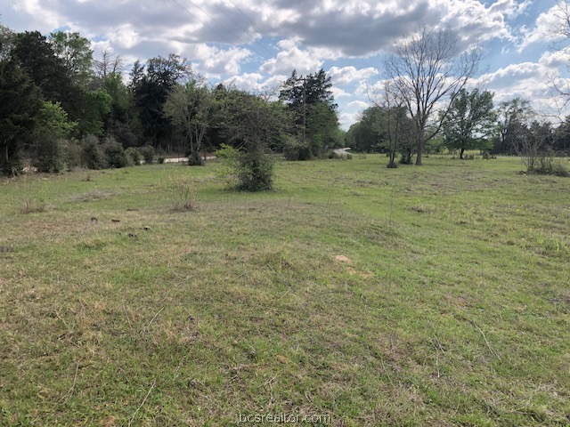 0 Hughes Cut Off Road, Unit COUNTYROAD Hearne, TX 77859 - Photo 11 of 24