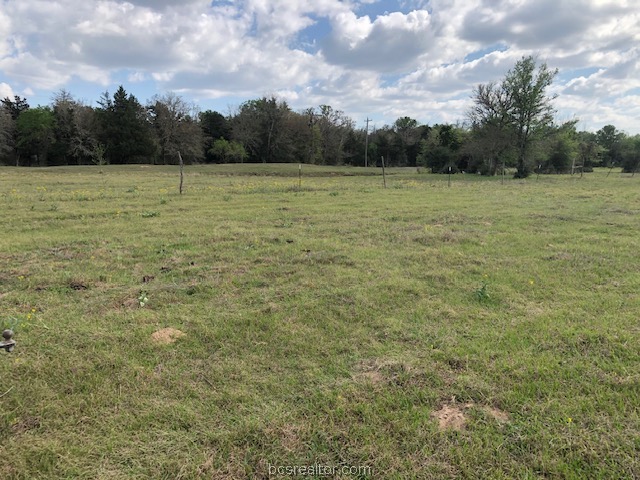 0 Hughes Cut Off Road, Unit COUNTYROAD Hearne, TX 77859 - Photo 15 of 24