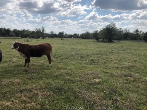 $165,100 | 0 Hughes Cut Off Road, Unit COUNTYROAD, Hearne, TX 77859