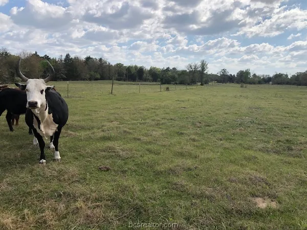 $165,100 | 0 Hughes Cut Off Road, Unit COUNTYROAD, Hearne, TX 77859